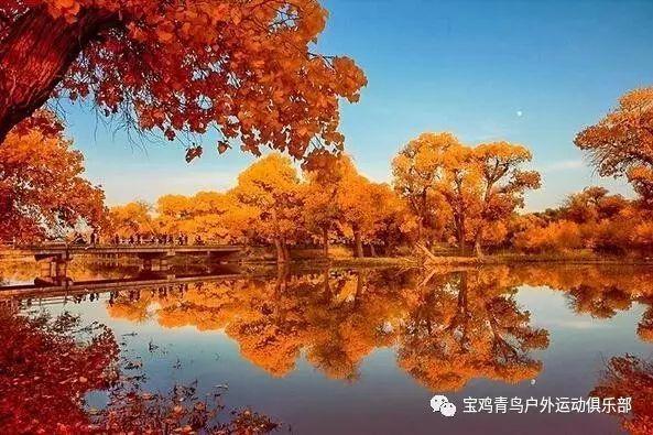 老爹寿司店